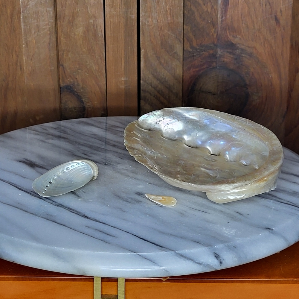 Iridescent Abalone Shell Pair - Picture 2 of 16